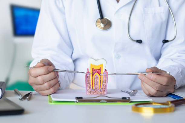Best Weekend Emergency Dental Services in North Bennington, VT